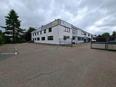 Nürnberg Halle, Nürnberg Hallenfläche