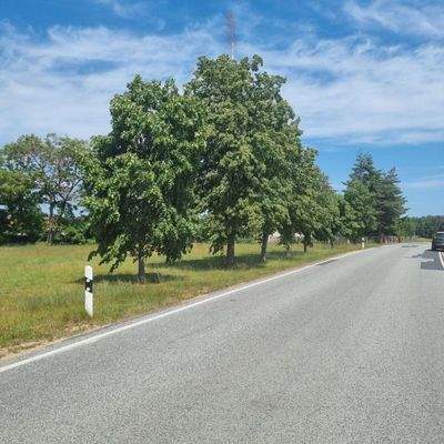 Straßenansicht nach Nord