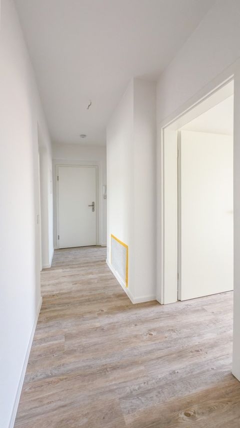 Dessau-Roßlau Wohnungen, Dessau-Roßlau Wohnung mieten