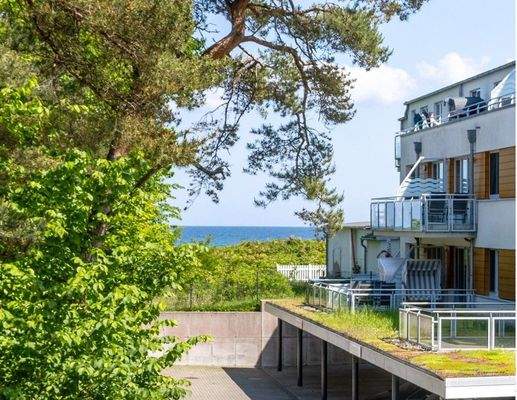 Blick vom Wohnzimmer 