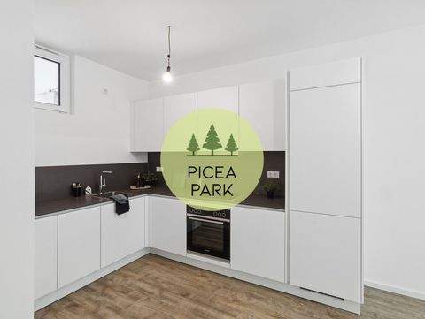 Ludwigsfelde Wohnungen, Ludwigsfelde Wohnung mieten