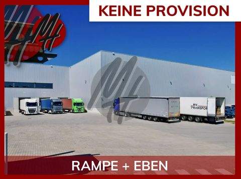 Alzey Halle, Alzey Hallenfläche