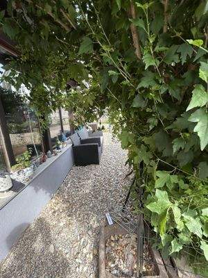 Freisitz Wohnung Nr. 3