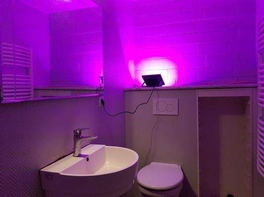 Modernes Bad mit Dusche