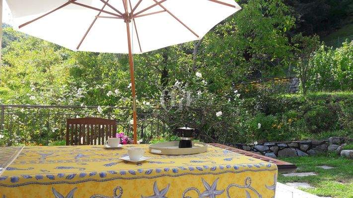 Mittagessen Im Freien