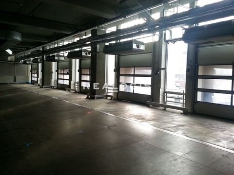 Frankfurt Halle, Frankfurt Hallenfläche