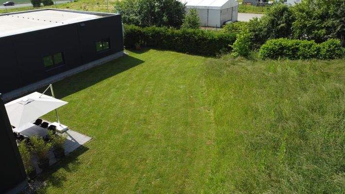 Freifläche Rückseite