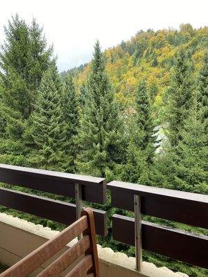 Blick vom Balkon.jpg