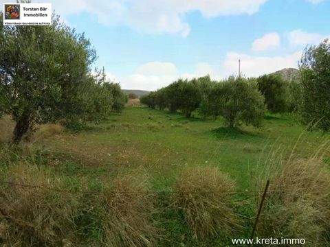 Chandras Grundstücke, Chandras Grundstück kaufen