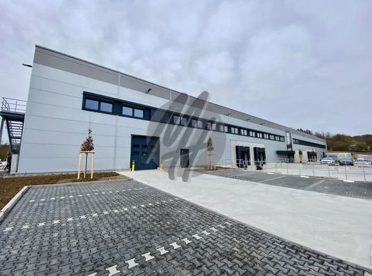 INFOS UNTER: 06171-586000