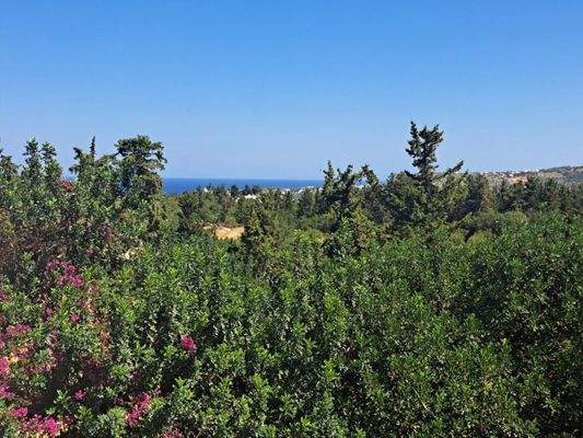 Kreta, Douliana: Charmantes Apartment mit einem Schlafzimmer und atemberaubendem Bergblick