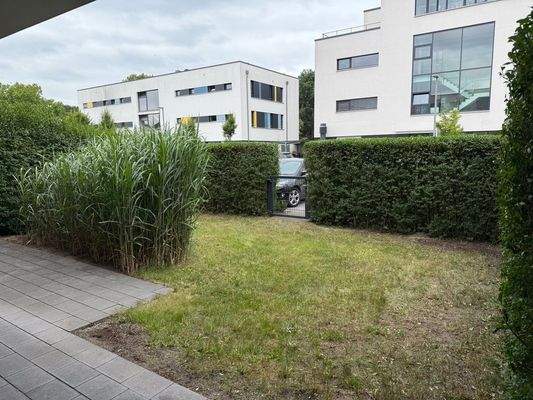 Gartenansicht mit Hecken