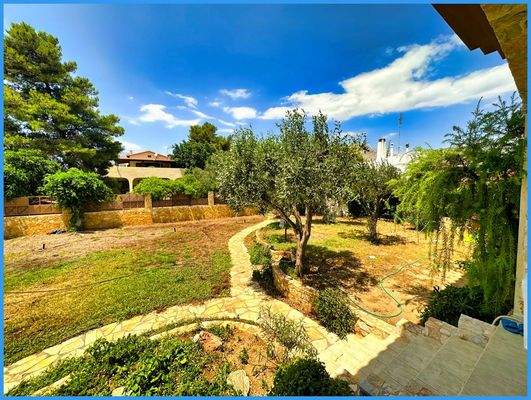 a2eec97ff5954274990996fcfba3451f-original