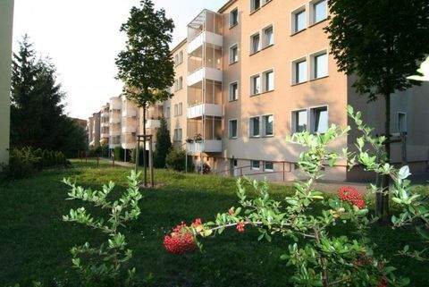 Dessau-Roßlau Wohnungen, Dessau-Roßlau Wohnung mieten