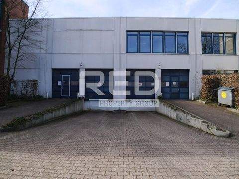 Hilden Halle, Hilden Hallenfläche