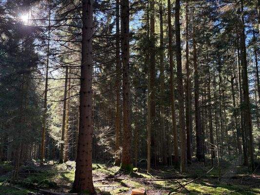 2025-11-05 11.54.32.jpg