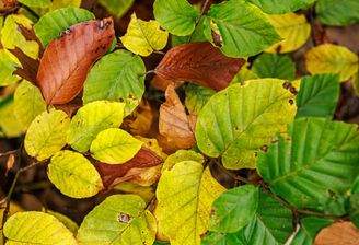251021-IMG_1445.jpg