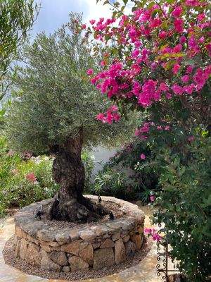 WhatsApp Bild 2025-10-05 um 19.52.30_6f66b8bc.jpg