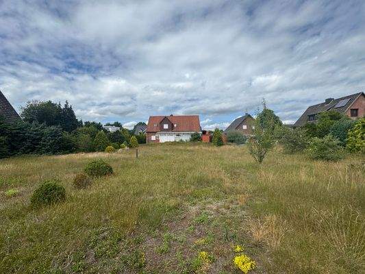 Blick vom hinteren Grundstücksteil