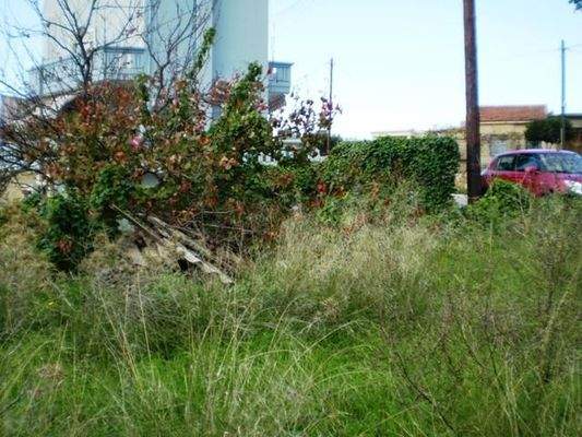 Nur 5 Minuten vom Marathi-Strand entfernt