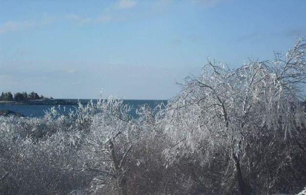 Eiszauber am Meer - Winterimpressionen