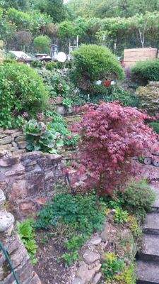 Garten pflegeleicht angelegt