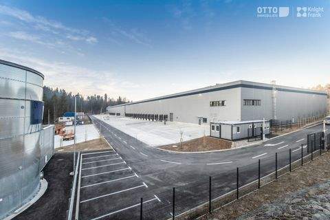 Logatec Halle, Logatec Hallenfläche