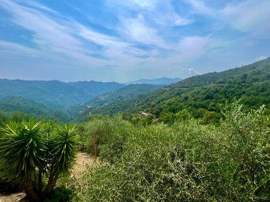 AP915_22 TERRA ITALIA IMMOBILIEN_LIGURIEN_APRICALE