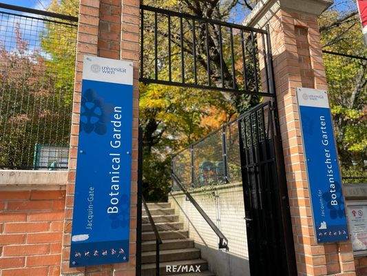 Eingang Belvedere ca. 7 Gehminuten