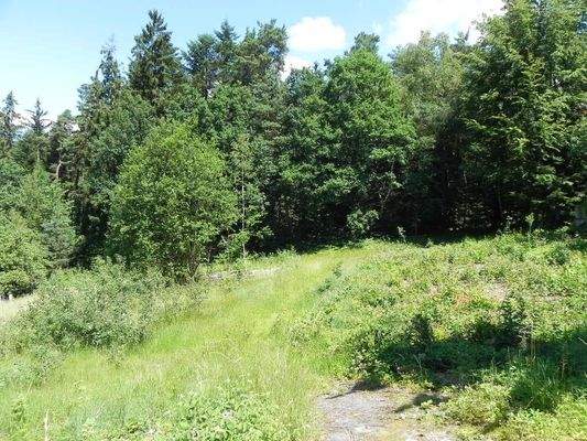 (2022) Blick vom Grundstück nach N