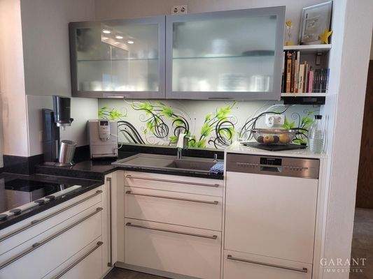 Einbaukueche-andere-Seite-Hauptwohnung