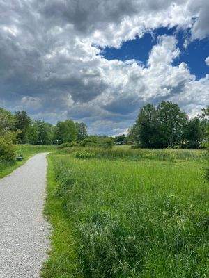 über die Straße liegt der Stadtpark Grafing.jpeg