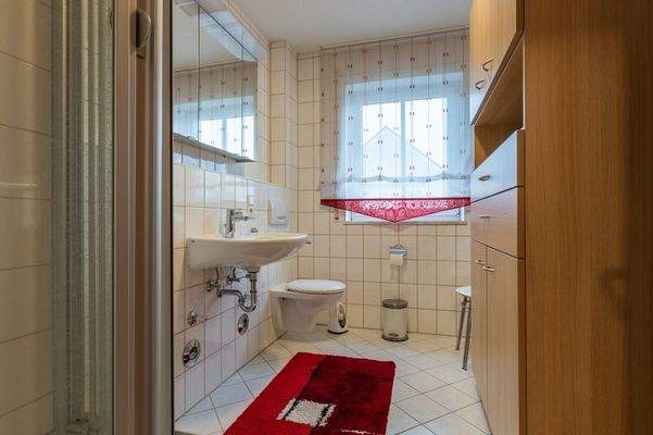 Tageslichtduschbad (1)