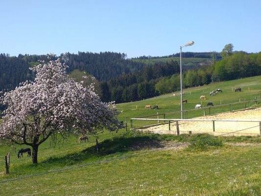 16478303-d49b-4e53-ba32-c44818fe6f4f