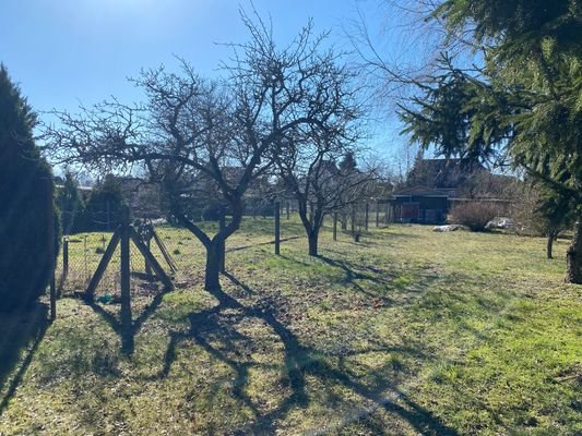 Garten 2.jpg