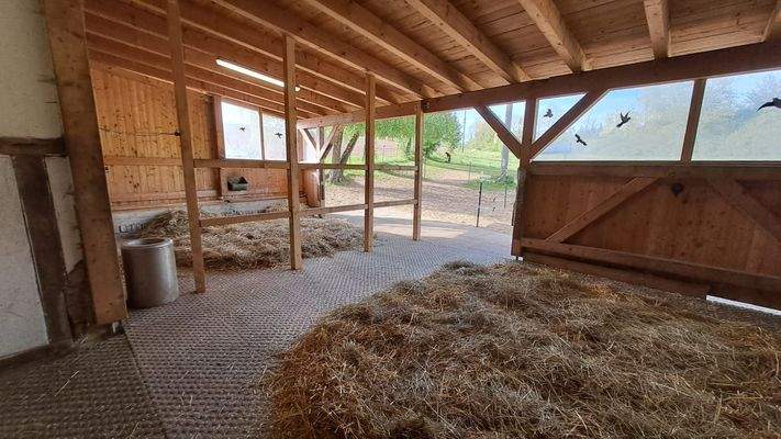 Offenstall Nord-West