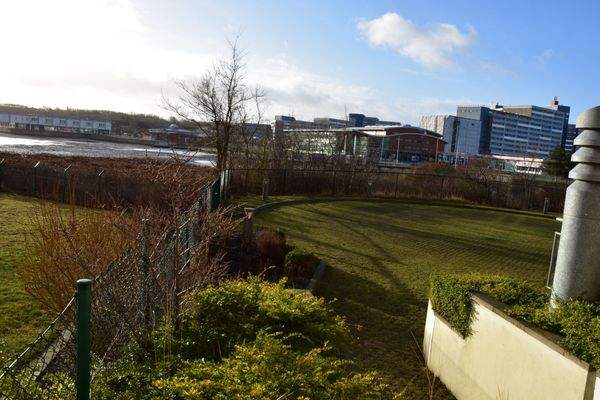 Ausblick vom Balkon im EG