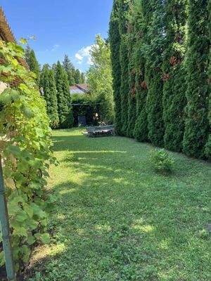 453293531_1078929266985139_3093800109252657276_n.j