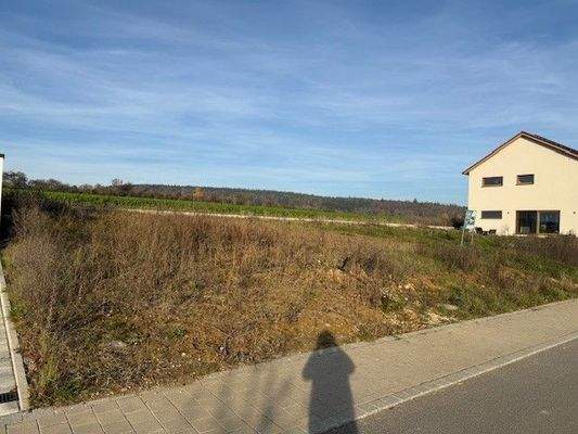 Foto Grundstück 2.jpg