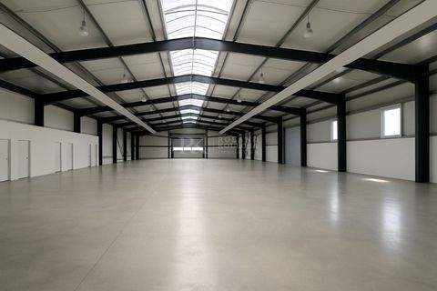 Verden Halle, Verden Hallenfläche