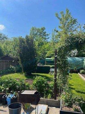 HphW72 _Garten (3).jpg