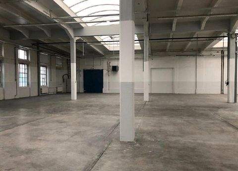 Dresden Halle, Dresden Hallenfläche