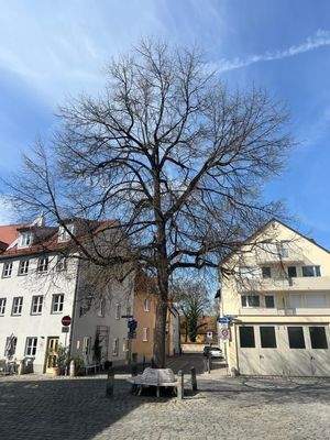 Idylle in der Altstadt