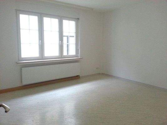 Geräumiger Wohnbereich