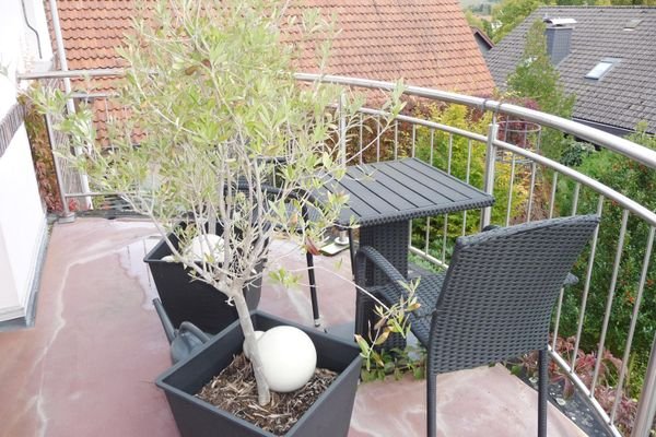 Balkon zum Garten mit Edelstahlgeländer