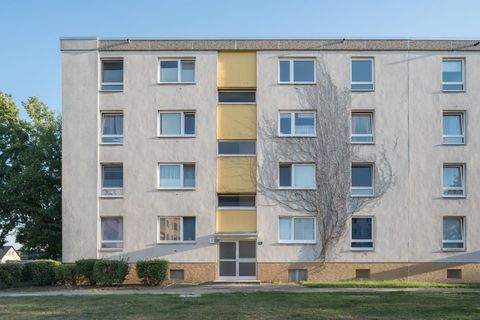 Wolfsburg Wohnungen, Wolfsburg Wohnung mieten