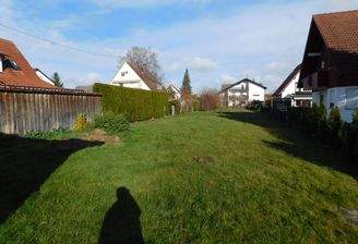 Blick Rückwärtiger Bereich.JPG