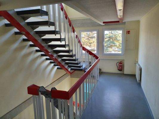 WhatsApp Image 2019-12-20 at 08.58.42.jpeg