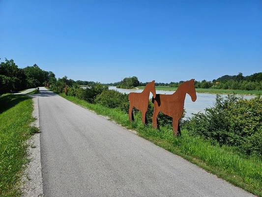 Inn-Damm als Naherholungsgebiet