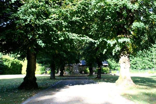 10 Alleenzufahrt zum Hauptgebäude